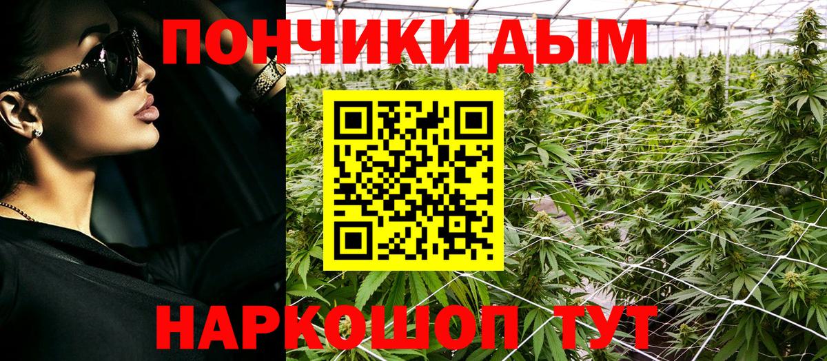 Губкин  Марихуана марихуана  Вход с VPN  Бошки марихуана MAZAR  Бошки Шишки Amnesia  Конопля тримм 